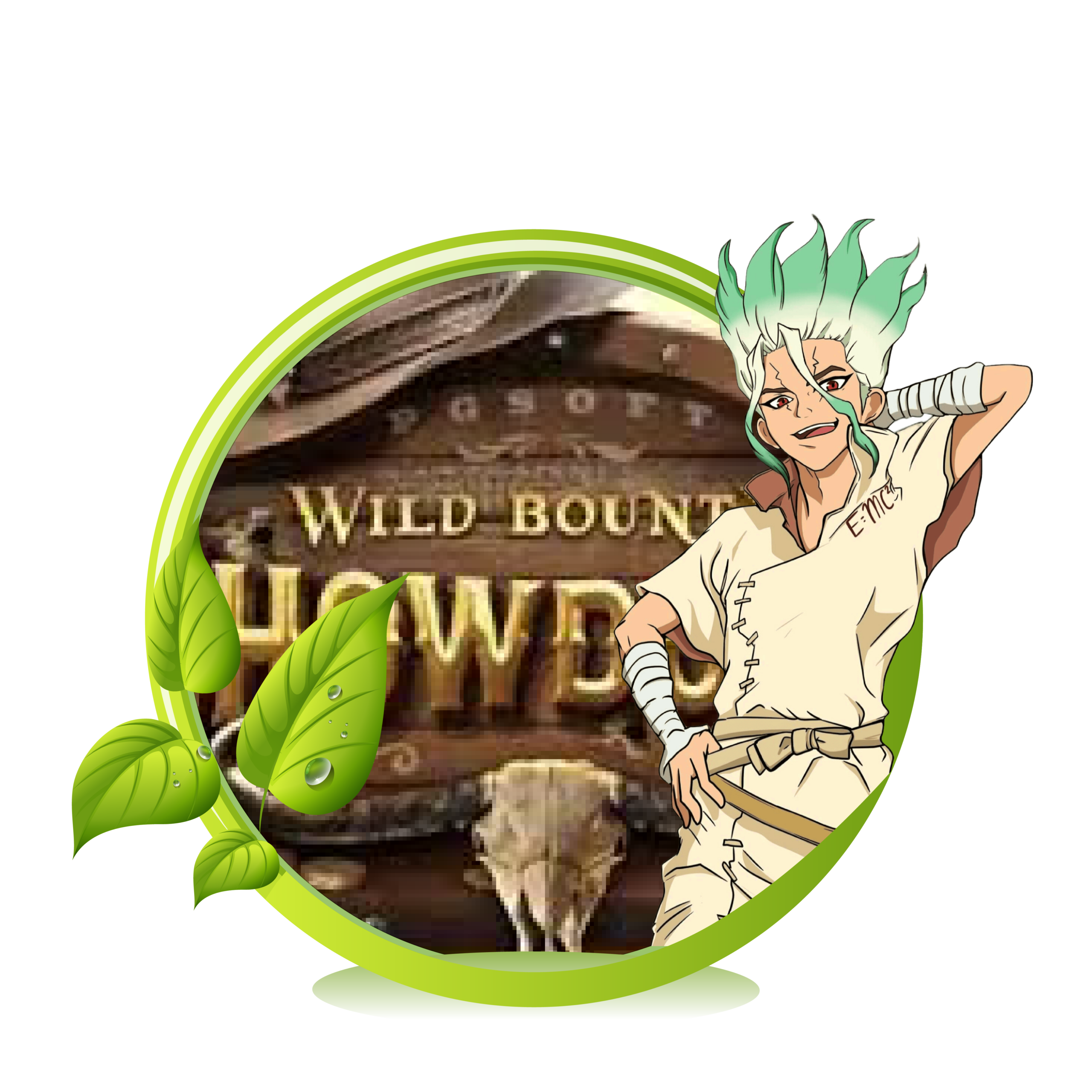 Wild Bounty Showdown